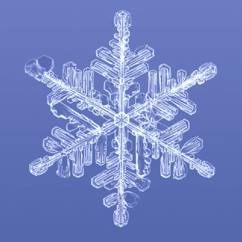 Snow Crystal1 